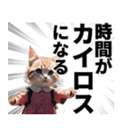 猫と考える哲学（個別スタンプ：7）