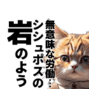 猫と考える哲学（個別スタンプ：16）