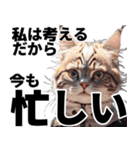 猫と考える哲学（個別スタンプ：19）