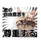 猫と考える哲学（個別スタンプ：31）