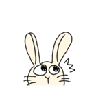うさぎは元気（個別スタンプ：1）