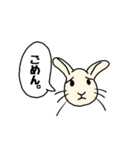 うさぎは元気（個別スタンプ：4）
