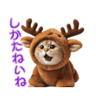 にゃんこぬいぐるみコレクション2（個別スタンプ：6）
