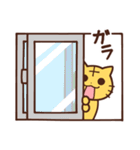 うさぎ と とら 4（個別スタンプ：30）