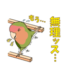 コザクラインコ好きスタンプ3（個別スタンプ：6）