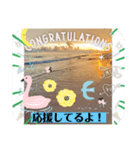 海LINEスタンプ、yamami（個別スタンプ：3）