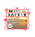 海LINEスタンプ、yamami（個別スタンプ：5）