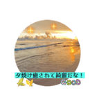 海LINEスタンプ、yamami（個別スタンプ：6）