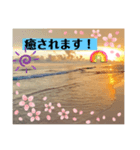 海LINEスタンプ、yamami（個別スタンプ：8）