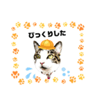 憎まれねこ（個別スタンプ：5）