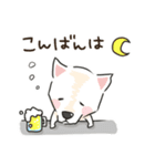 TAROファミリー（個別スタンプ：11）