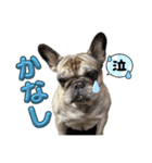 意外に使えるクリモナカ（個別スタンプ：2）