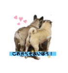 意外に使えるクリモナカ（個別スタンプ：8）