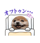 おはちとちゃみとつくし（個別スタンプ：8）