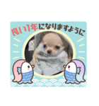 はちきゅんってくるスタンプwith仲間たち（個別スタンプ：2）