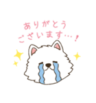 サモエドと黒猫の丁寧語スタンプ（個別スタンプ：1）