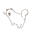 サモエドと黒猫の丁寧語スタンプ（個別スタンプ：4）