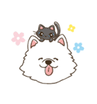 サモエドと黒猫の丁寧語スタンプ（個別スタンプ：8）