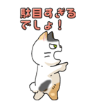 猫のスタンプ その8(褒める/しかる/応援）（個別スタンプ：27）