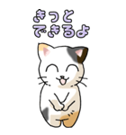 猫のスタンプ その8(褒める/しかる/応援）（個別スタンプ：34）