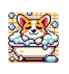 コーギーのドット絵スタンプ（個別スタンプ：26）