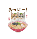 ほっこり猫と食べ物10（個別スタンプ：1）