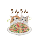 ほっこり猫と食べ物10（個別スタンプ：4）