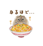 ほっこり猫と食べ物10（個別スタンプ：14）