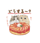 ほっこり猫と食べ物10（個別スタンプ：21）