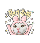 ♡おもちま♡（個別スタンプ：3）