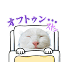 ♡おもちま♡（個別スタンプ：4）