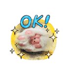 ♡おもちま♡（個別スタンプ：7）