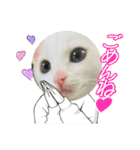 ♡おもちま♡（個別スタンプ：9）
