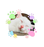 ♡おもちま♡（個別スタンプ：14）