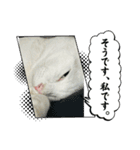 ♡おもちま♡（個別スタンプ：18）