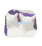 ♡おもちま♡（個別スタンプ：21）