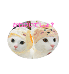 ♡おもちま♡（個別スタンプ：25）