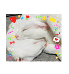 ♡おもちま♡（個別スタンプ：26）