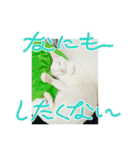 ♡おもちま♡（個別スタンプ：28）