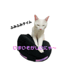 ♡おもちま♡（個別スタンプ：29）