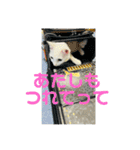 ♡おもちま♡（個別スタンプ：30）