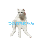♡おもちま♡（個別スタンプ：31）