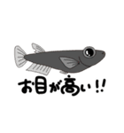 【毎日使える】アクアリストの日常スタンプ（個別スタンプ：2）
