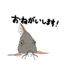 【毎日使える】アクアリストの日常スタンプ（個別スタンプ：5）