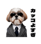 スーツ犬の決め台詞（個別スタンプ：18）