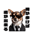 スーツ犬の決め台詞（個別スタンプ：20）