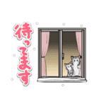 ねこレター 秋冬号（個別スタンプ：13）