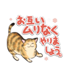 ねこレター 秋冬号（個別スタンプ：24）