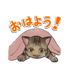 ねこレター 秋冬号（個別スタンプ：29）