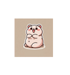 愛されキャラの感情豊かなスタンプ集5（個別スタンプ：13）